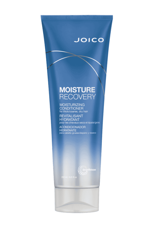 JOICO Moisture Recovery Conditioner 250 ml HOITOAINEET