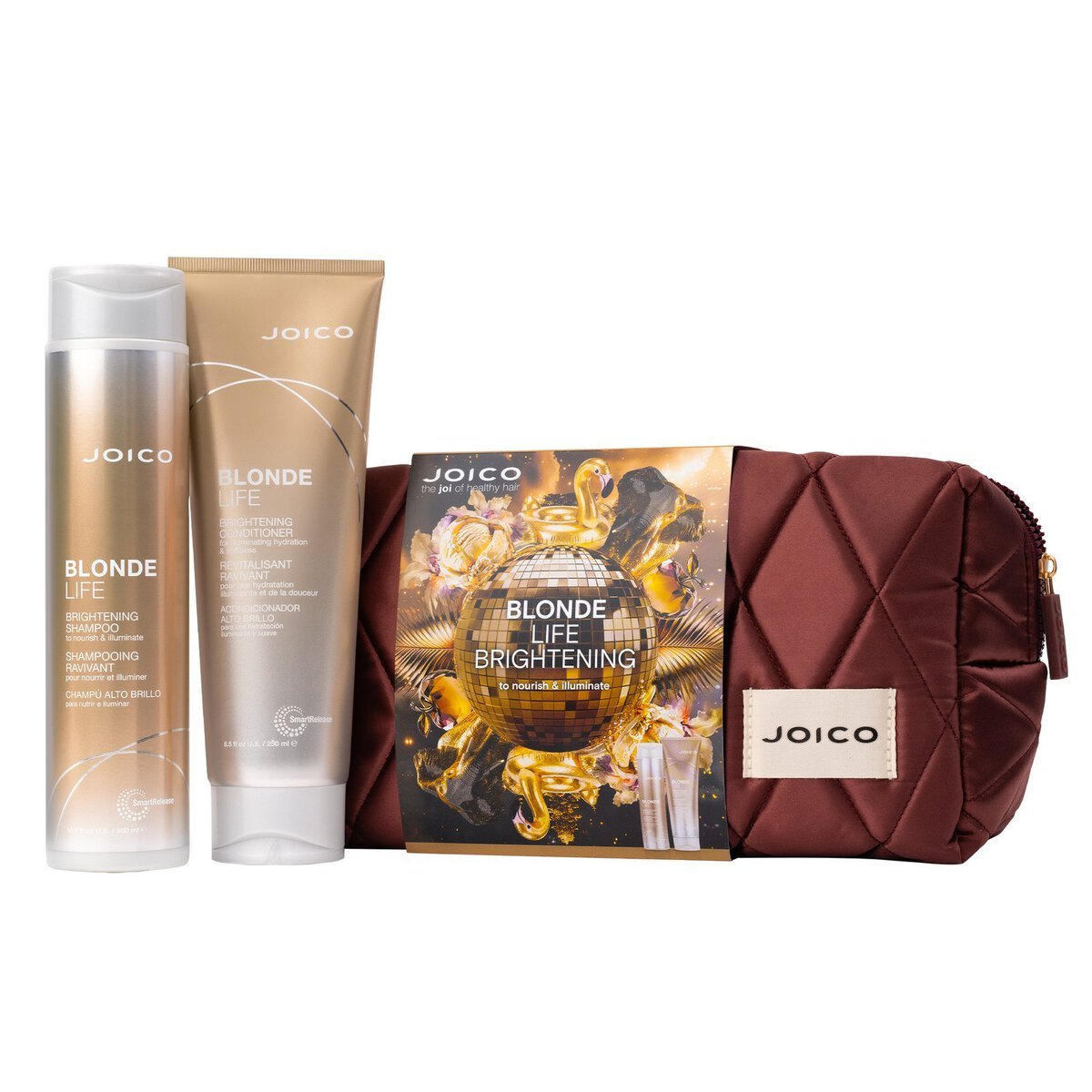 JOICO Blonde Life Brightening Dreamscape Duo